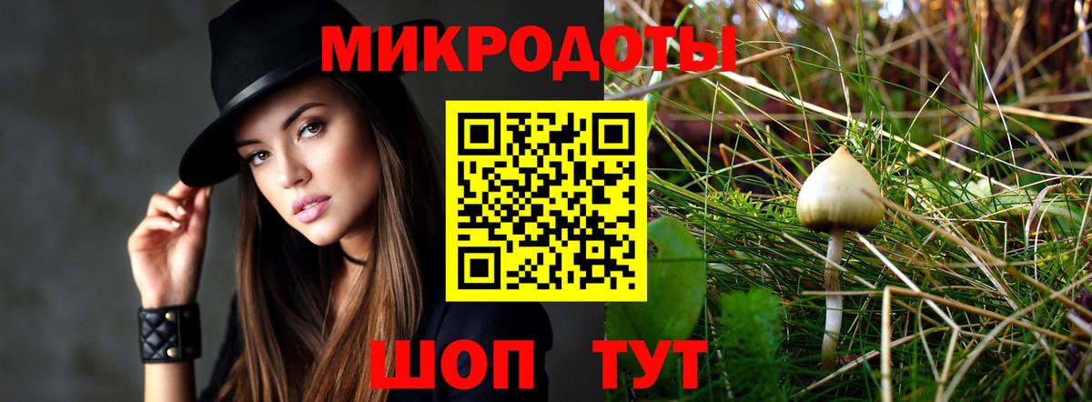 Славянск-на-Кубани  Галлюциногенные грибы Psilocybine cubensis  Вход с VPN  Галлюциногенные грибы Cubensis 