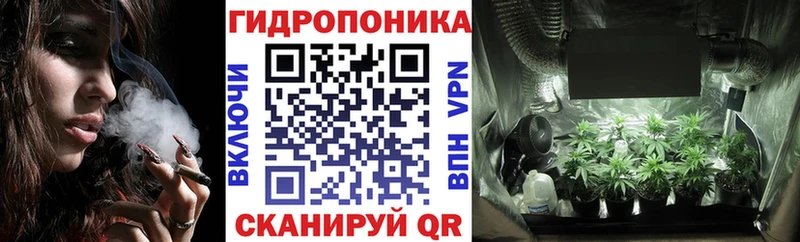 Конопля конопля  Славянск-на-Кубани 